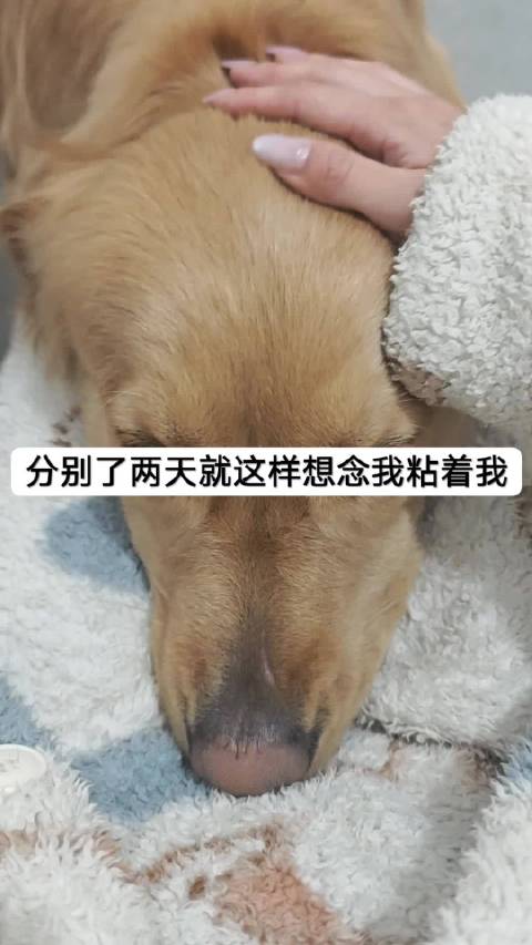 好萌的宝宝歆歆福福