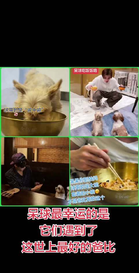 檀健次宠爱檀小呆檀力球，称其好命狗