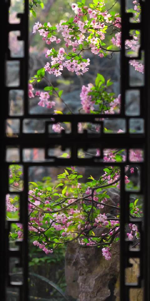 医生提醒勿模仿ella真空腹