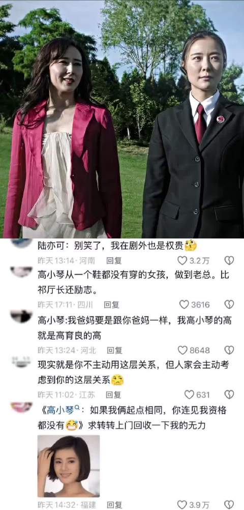 “同人不同命” 陆亦可 高小琴 人民的名义