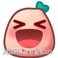 纠结极氪9X和问界M9的困难户集合！