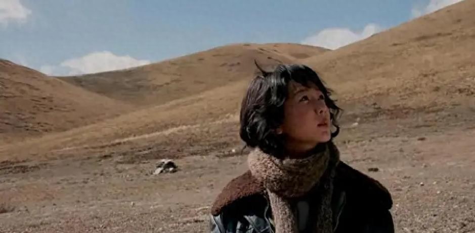 《生命树》大结局:多杰尸骨被找到,林培生判无期,孟耀辉被击毙