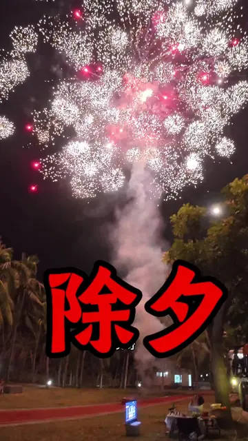 一对伴侣与猫咪共度除夕的房车之旅