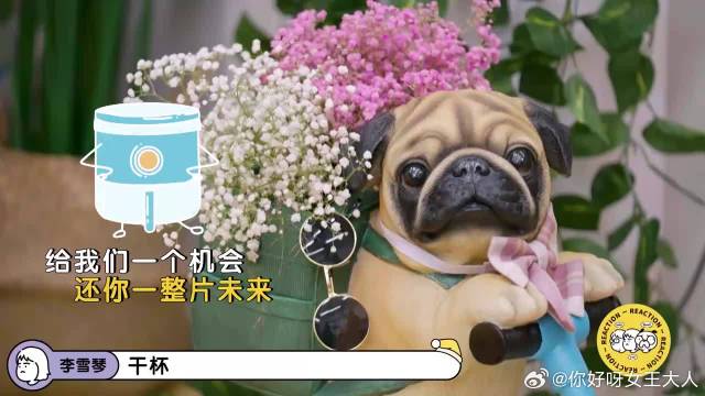 陆虎爆料自己早期找工作，一顿操作看呆毛不易，太佩服了