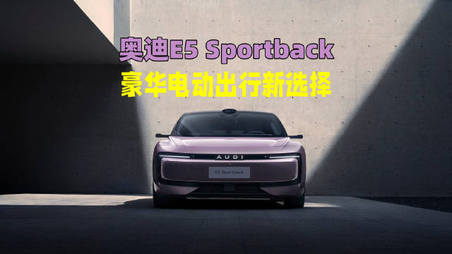 奥迪E5 Sportback获双料冠军，豪华新能源车市场表现亮眼