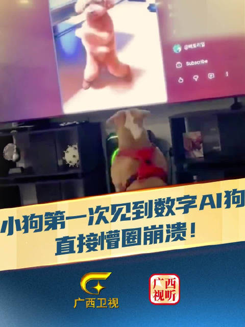 小狗第一次见到数字AI狗，直接懵圈崩溃！
