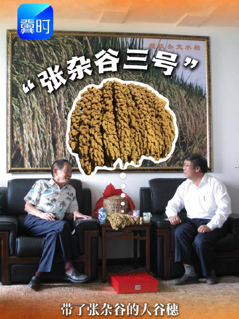 全国人大代表手机里的心头事 ｜赵治海：大米和小米的“山海情”