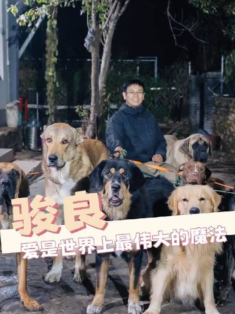 门头沟的每只狗狗，因为骏良的存在，都过得特别安稳且幸福门头沟小狗