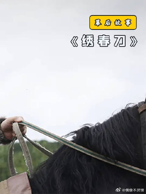 原来我们都误会丁修了，其实他一直都在保护师弟