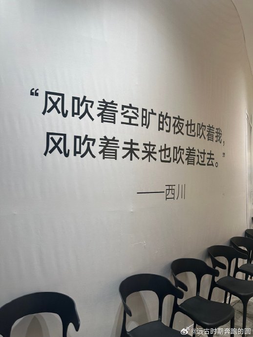 从原生家庭缺憾到自我疗愈，王子文的个人成长历程是怎样的？