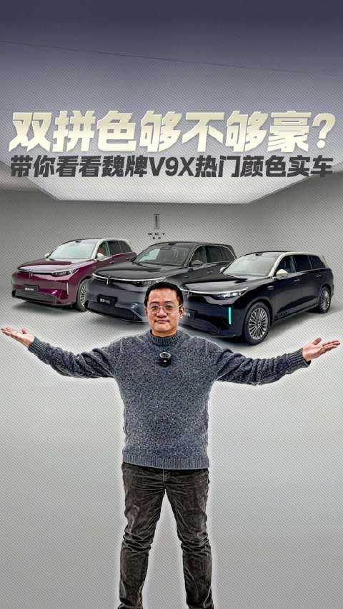 双拼色够不够豪？带你看看魏牌V9X热门颜色实车