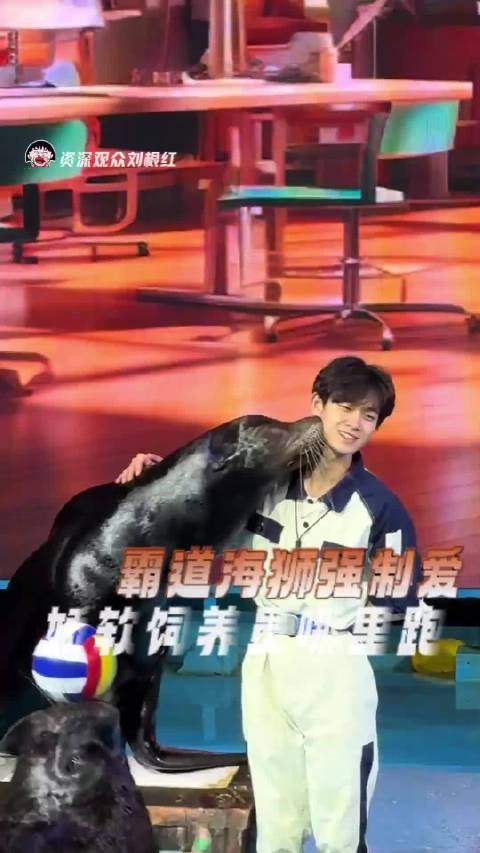 看吧看吧 不管什么生物 都喜欢帅的