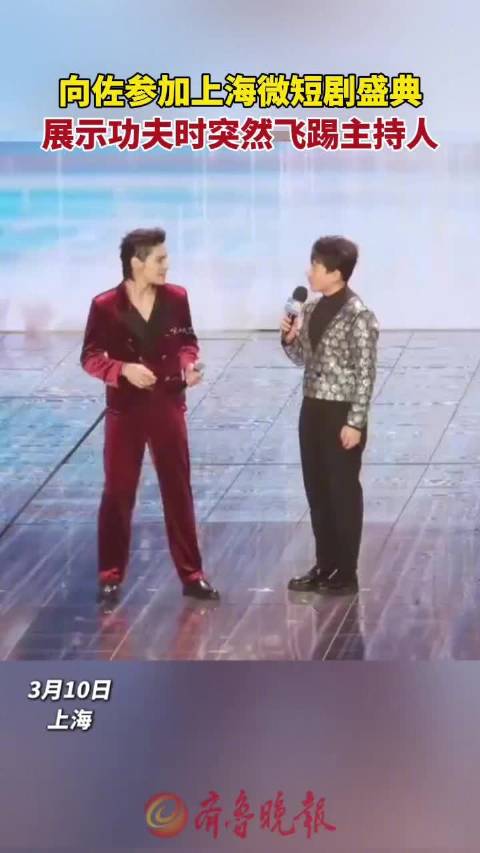 向佐展示功夫突然飞踢主持人
