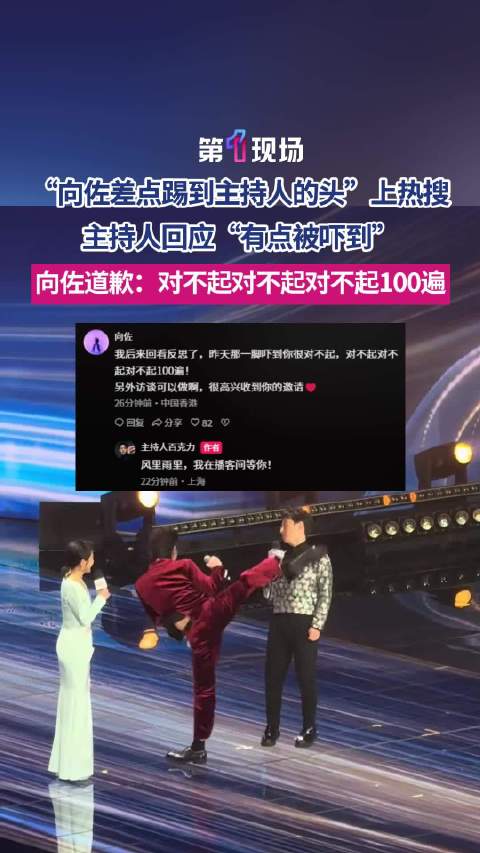 百克力回应向佐踢头