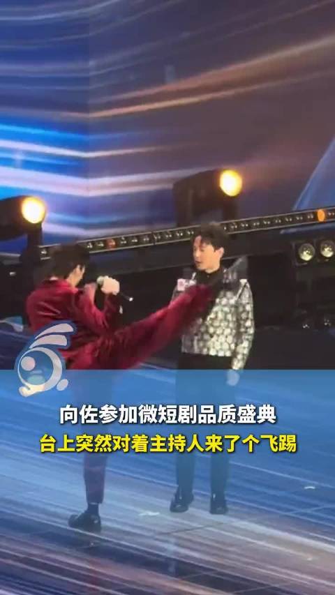 主持人回应险被向佐踢到头