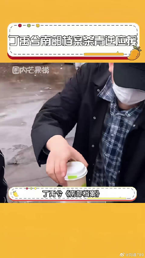 丁禹兮 丁禹兮南部档案转场