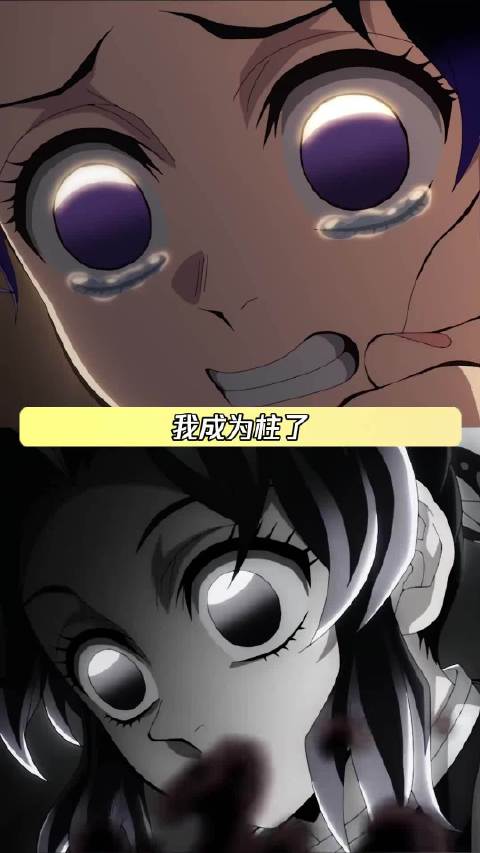 我成为柱了 也救不下当时的你吗 蝴蝶忍 鹅滴神片