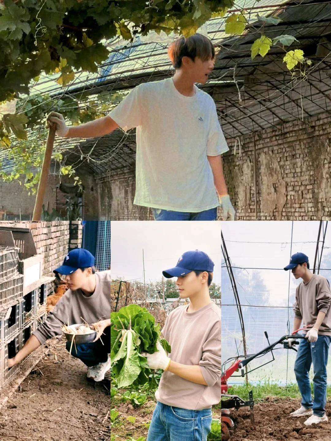 马天宇的院子火了！一菜园圈粉百万，壮观非摆拍