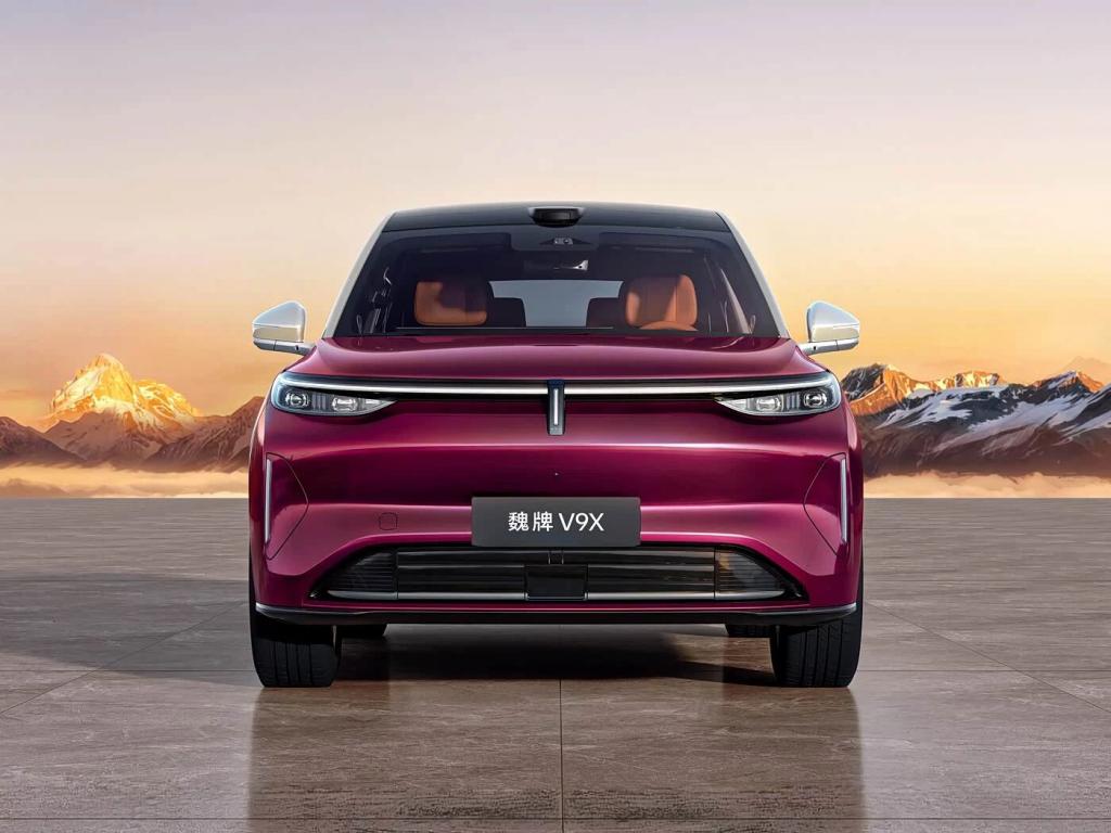 首款大型SUV!魏牌V9X首发亮相