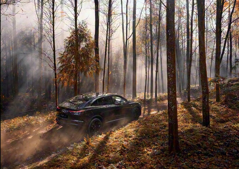 乐道L60黑骑士版官图发布,12月5日上市即交付 | BitAuto