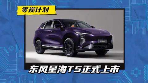 风行雷霆的改款?东风星海T5正式上市,售价15.39万-16.19万元