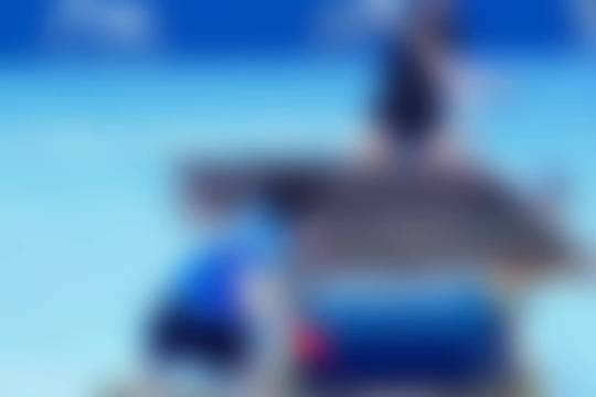 孙颖莎横扫日乒主力,连挫石川伊藤早田张本