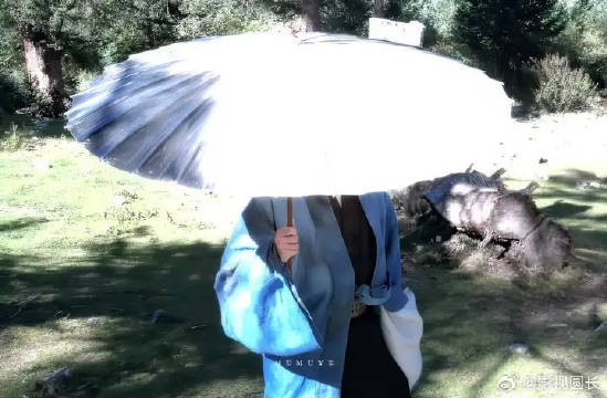 关于冷面魔教少主成为正派女侠的小男宠那些事儿