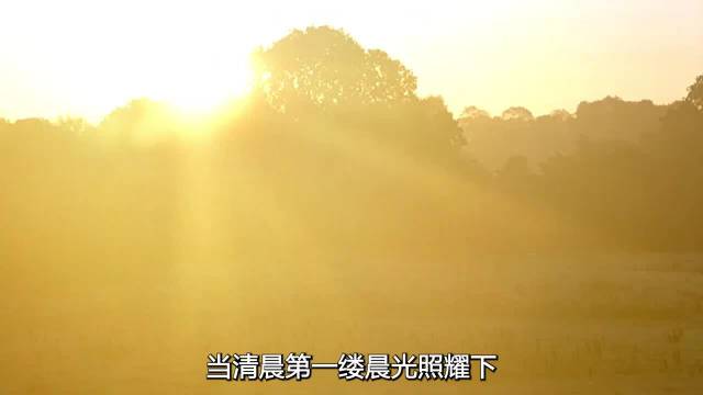 傲慢与偏见 真的超级好看 偏见让我无法爱别人，傲慢让别人无法爱我