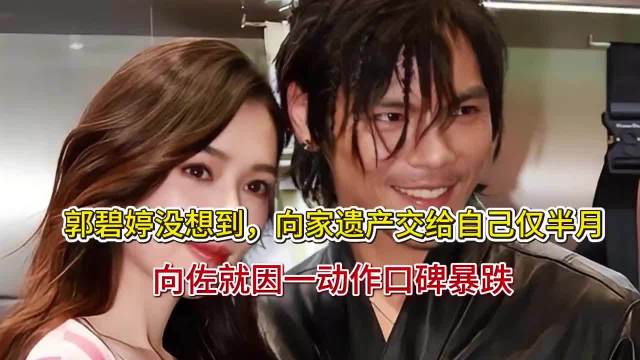 郭碧婷没想到，向家遗产交给自己仅半月，向佐就因一动作口碑暴跌