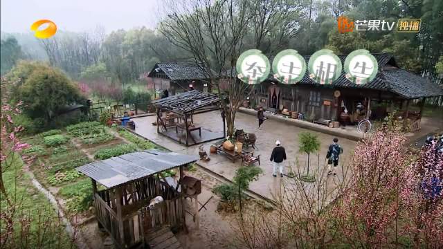 张艺兴做客蘑菇带了五斤牛肉过来，把黄磊都笑坏了，不愧是他徒弟