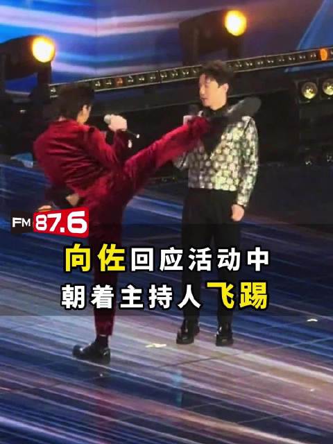 向佐活动飞踢主持人致歉
