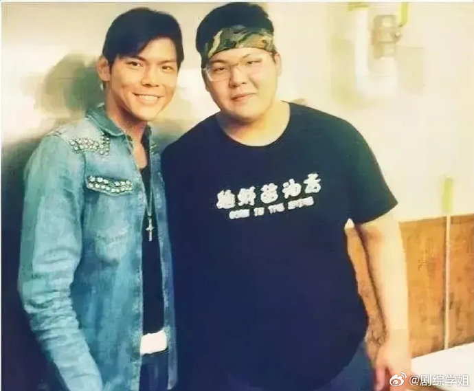 向佐与弟弟向佑在公众形象上存在哪些显著差异？