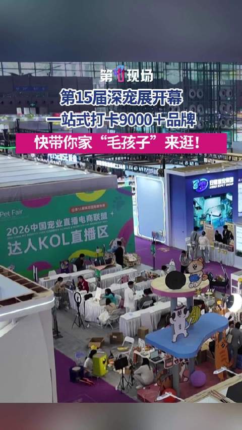 第15届深宠展即将开幕