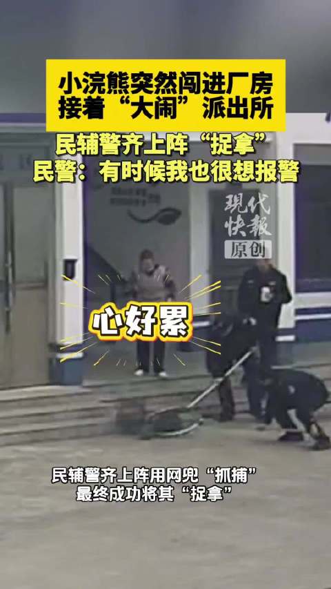 民警抓捕越狱小浣熊累得想报警