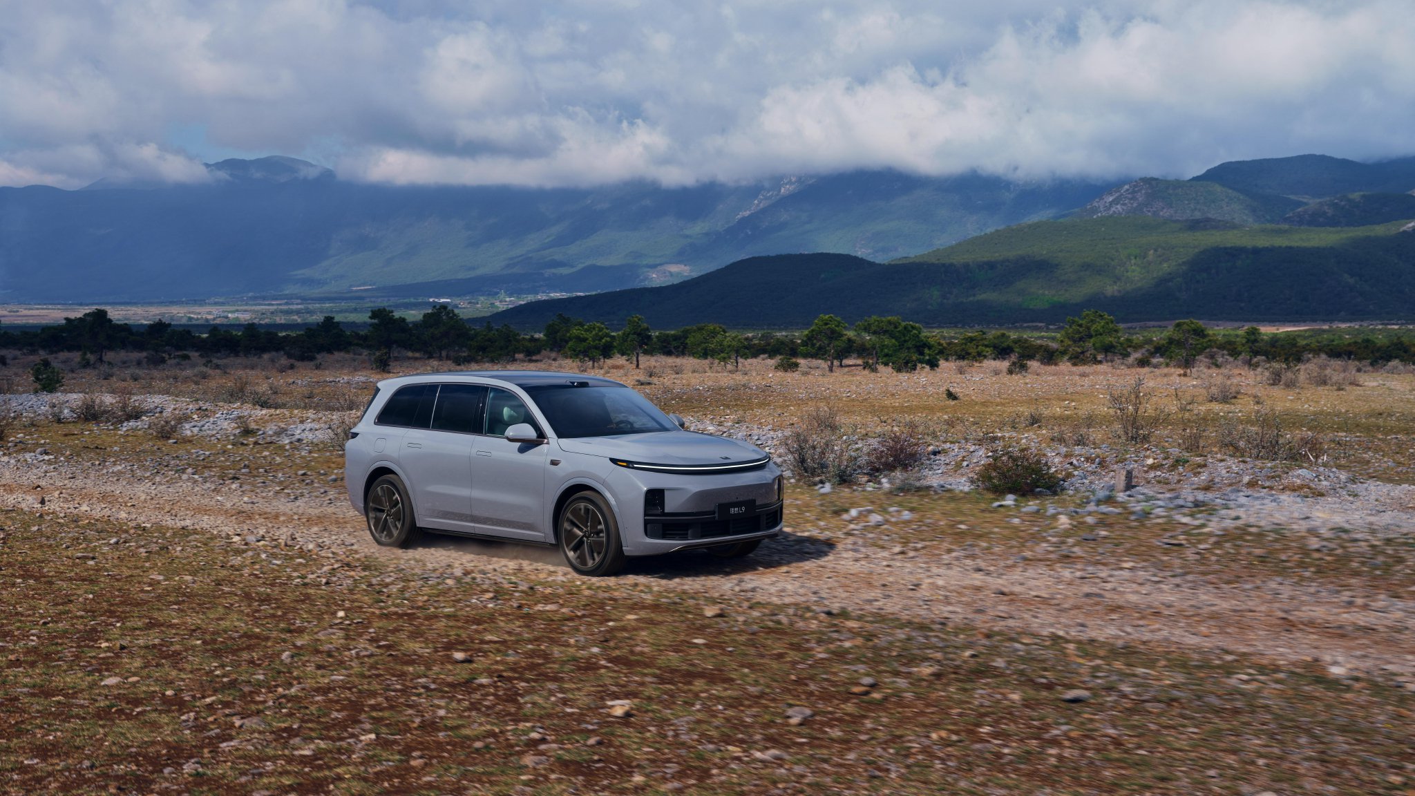 理想汽车2025年第二季度财报:盈利不是终点,创新才是未来