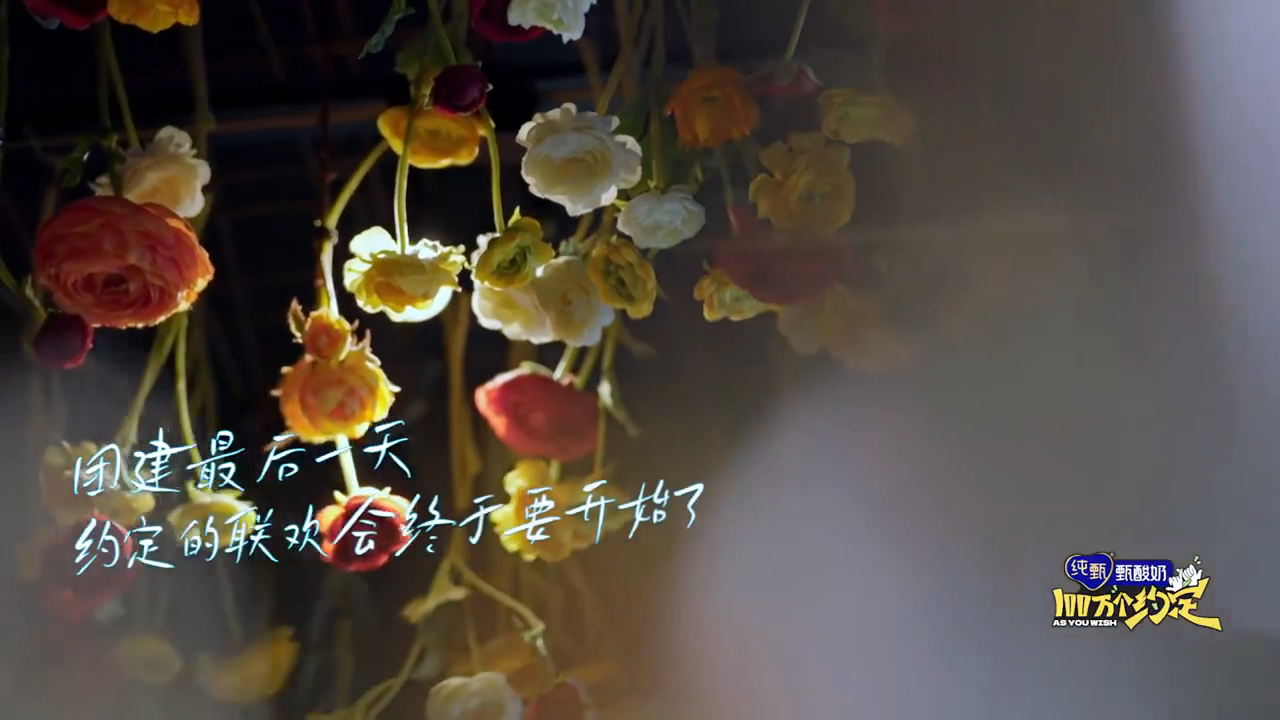 《宁安如梦》团综联欢会太欢乐,白鹿,张凌赫反串危宁大婚名场面|周深|宁安如梦|张凌赫|王星越|白鹿(演员)|竹马