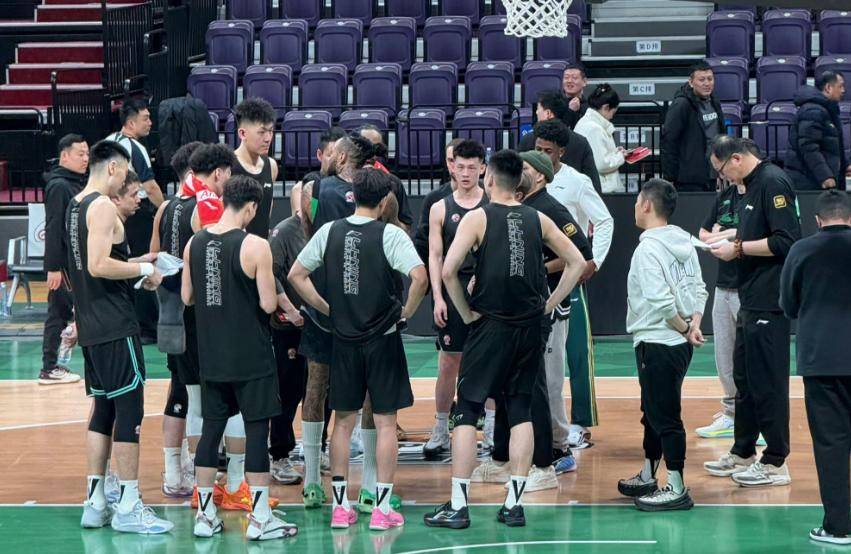 辽宁男篮全力出击！布罗金顿CBA首秀，赵继伟渐入佳境，直播