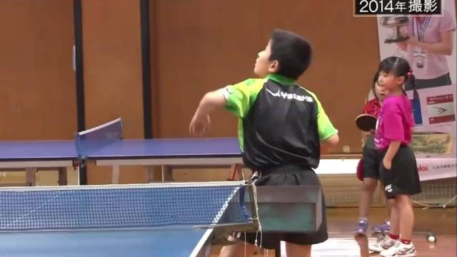 张本兄妹的深厚感情，张本美和想与哥哥张本智和一起去奥运