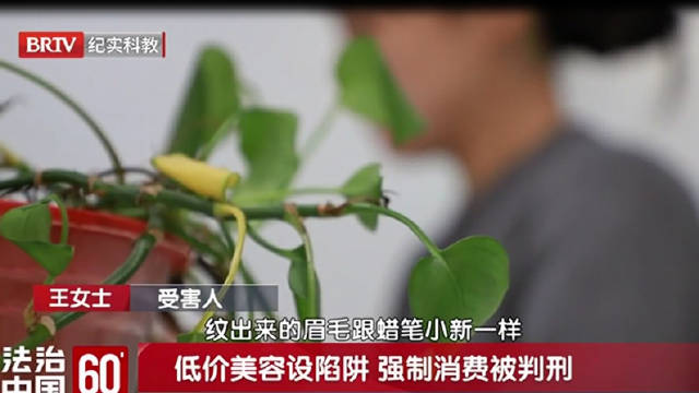 360元特价纹眉纹成蜡笔小新