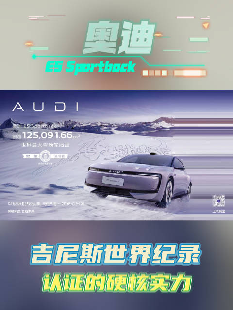 奥迪E5 Sportback创极寒吉尼斯纪录，三冠王限时20.59万起
