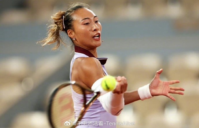 在莱巴金娜之前，还有哪些亚洲球员曾排名世界第二？