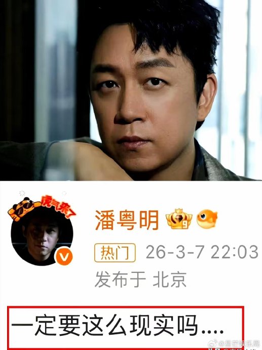 董洁与潘粤明的婚姻从金童玉女到对簿公堂，两人离婚的真实原因是什么？