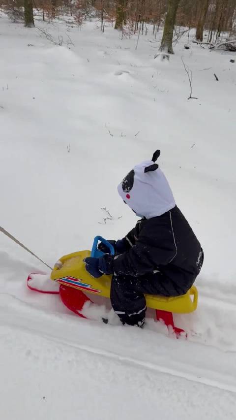 丹麦魔法森林雪橇体验引王叔参与