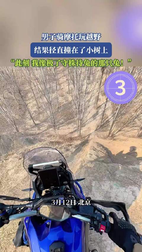 男子骑摩托越野撞树自嘲守株待兔