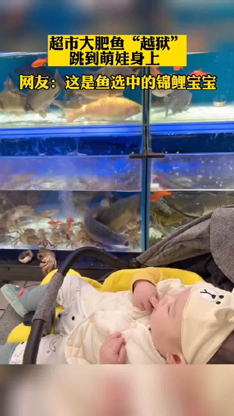 超市大肥鱼“越狱”跳到萌娃身上，网友：这是鱼选中的锦鲤宝宝！
