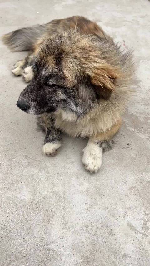 洗个澡 咱仔仔也有颜值了