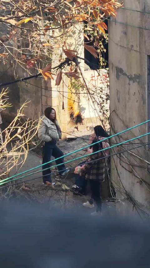 正宗的乡村爱情
