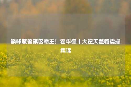 巅峰魔兽禁区霸主！霍华德十大逆天盖帽震撼集锦