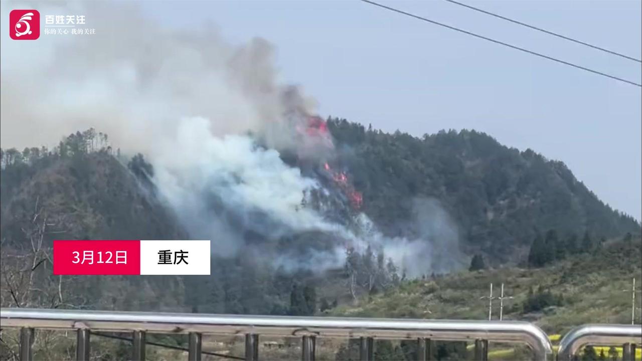 重庆南川区突发山火火线沿山坡蔓延 镇政府：火已扑灭 无人员伤亡