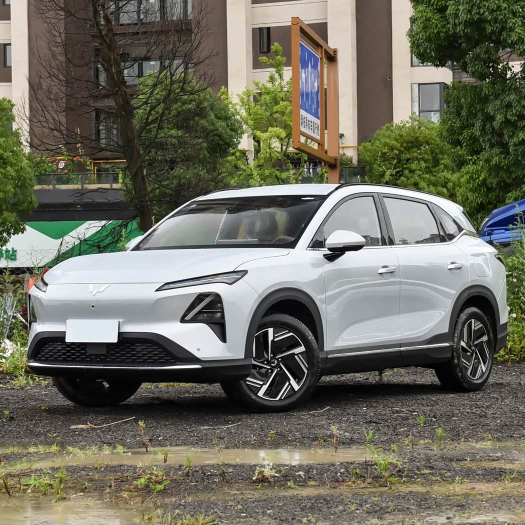 十万以内拿下插混SUV？五款新车真实实力全解析